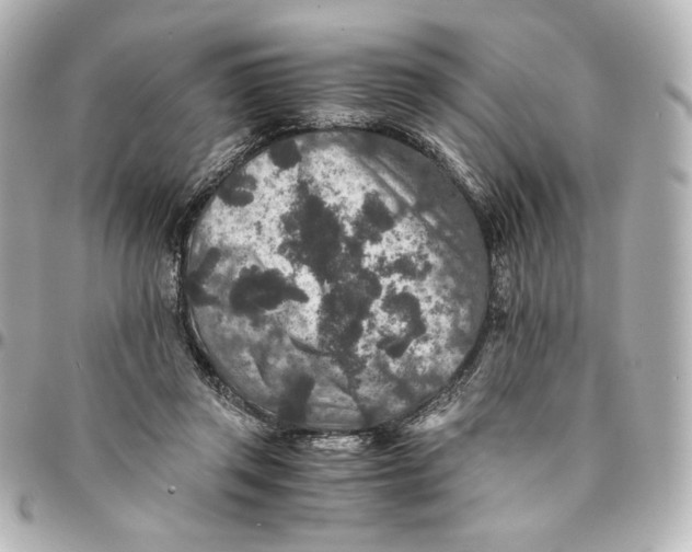 X0000094950357200712201143