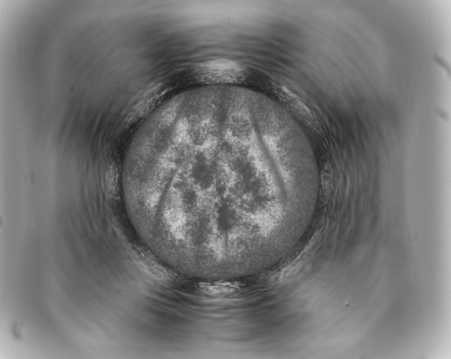 X0000094950359200712201143