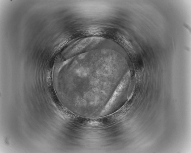 X0000094950360200712201143