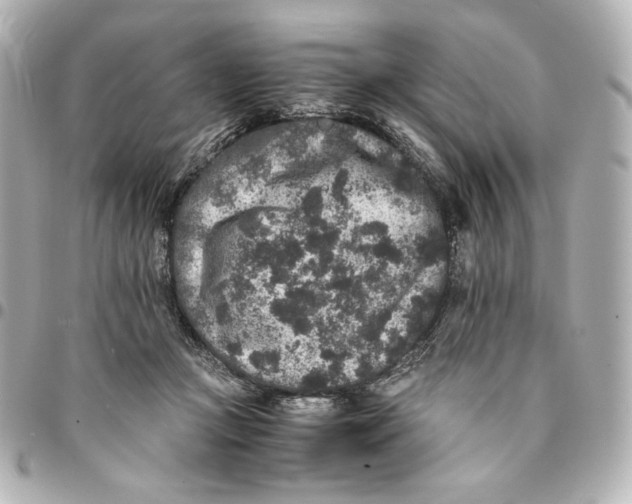 X0000094950361200712201143