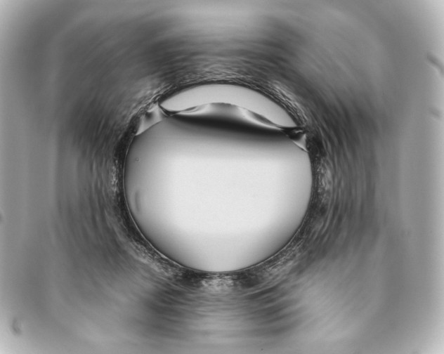 X0000094950362200712201143