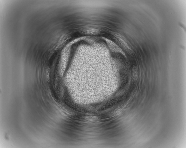 X0000094950363200712201143