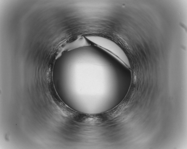 X0000094950364200712201143