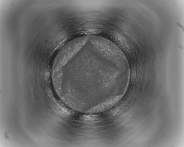 X0000094950367200712201143