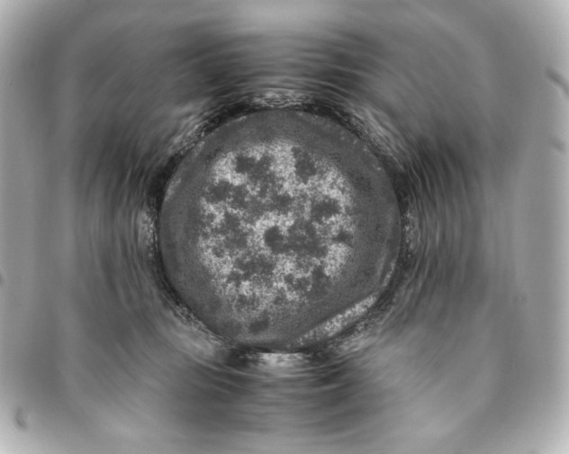 X0000094950371200712201143