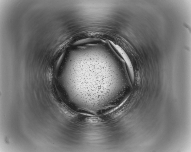 X0000094950372200712201143