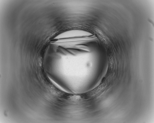 X0000094950374200712201143