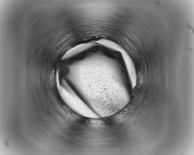 X0000094950376200712201143