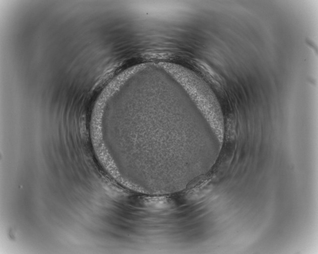 X0000094950377200712201143