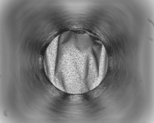 X0000094950378200712201143