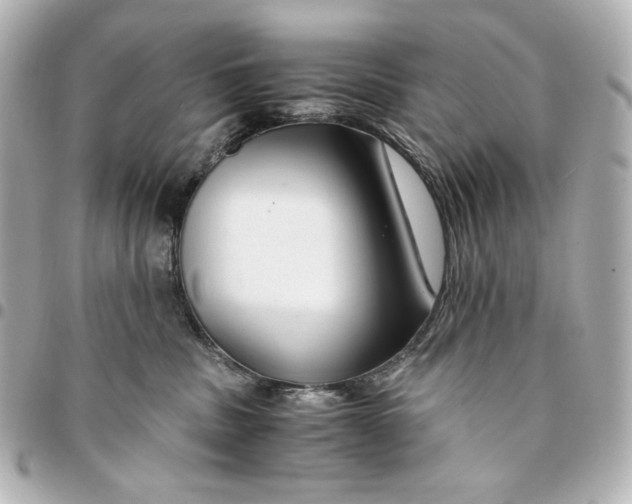 X0000094950379200712201143