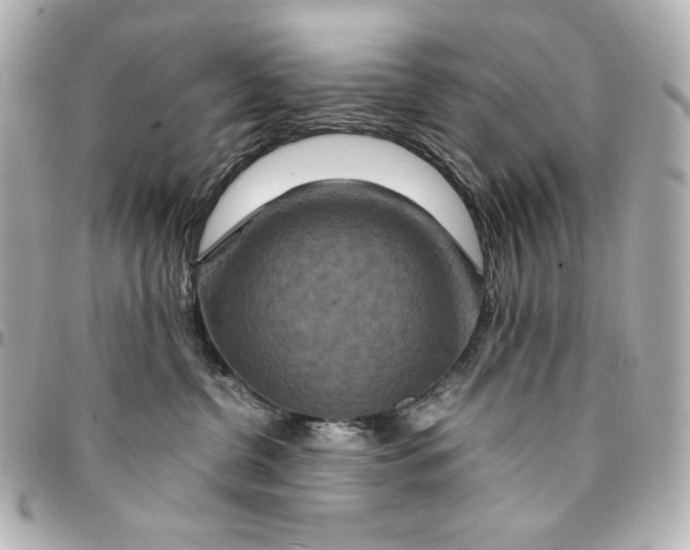 X0000094950380200712201143