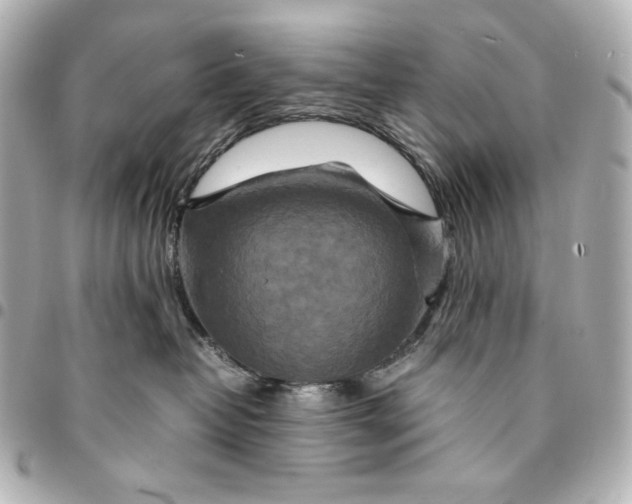 X0000094950382200712201143