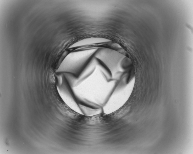 X0000094950384200712201143