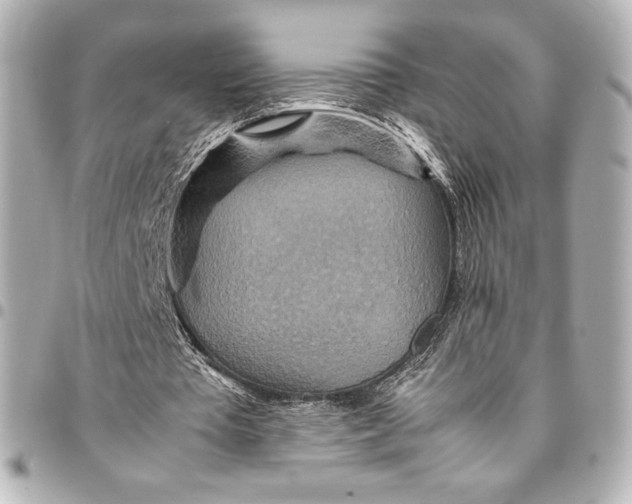 X0000094950385200712201142