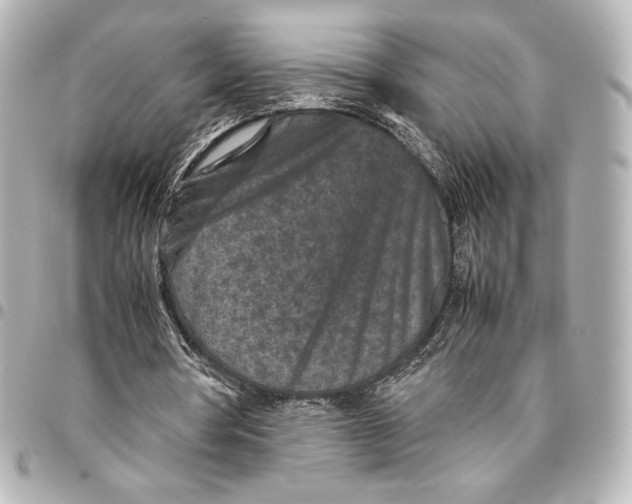 X0000094950386200712201142