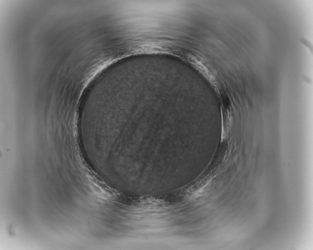 X0000094950387200712201142