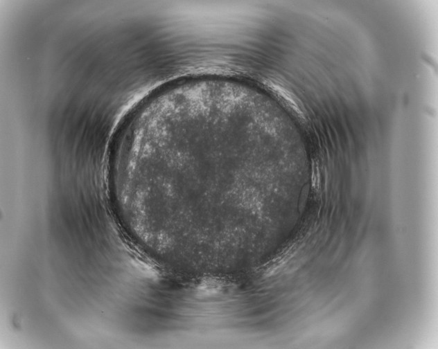 X0000094950388200712201142