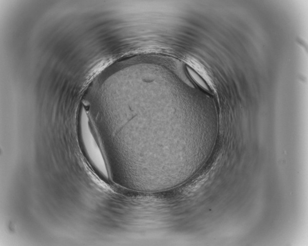 X0000094950389200712201142