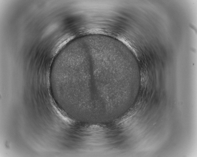 X0000094950390200712201142