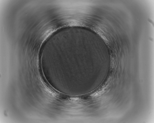 X0000094950391200712201142