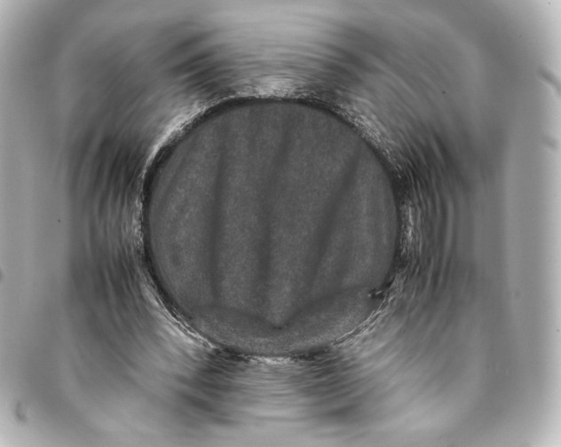 X0000094950392200712201142