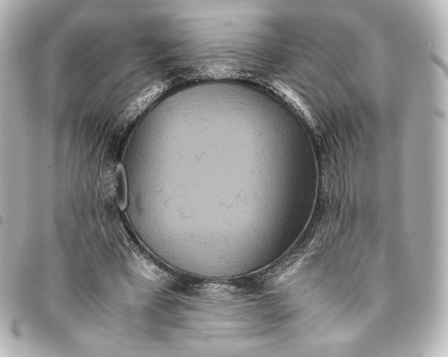 X0000094950393200712201142