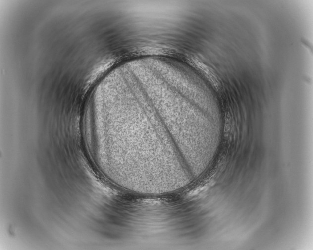 X0000094950394200712201142