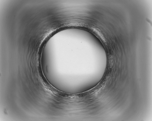 X0000094950395200712201142