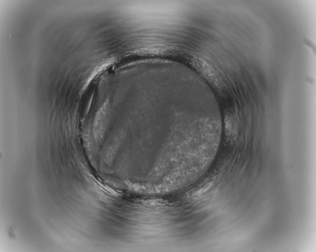 X0000094950396200712201142