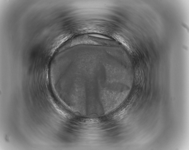 X0000094950398200712201142