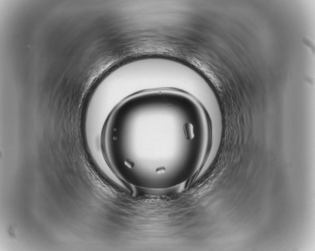 X0000094950399200712201142