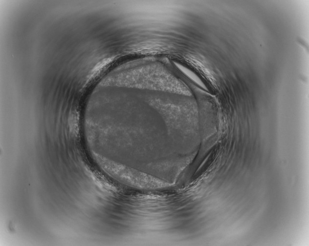 X0000094950400200712201142