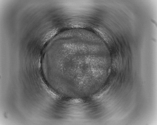 X0000094950402200712201142