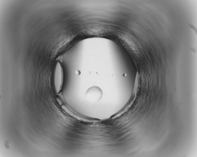 X0000094950404200712201142