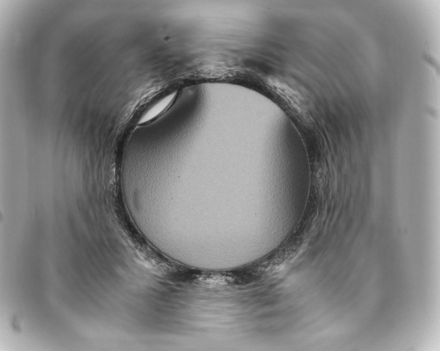 X0000094950407200712201142