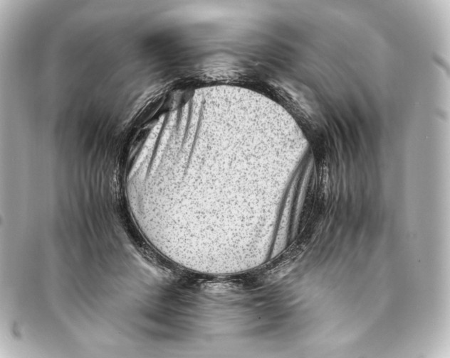 X0000094950408200712201142