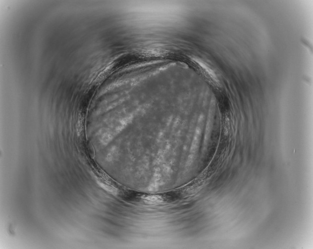 X0000094950409200712201142