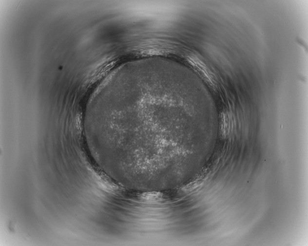 X0000094950410200712201142