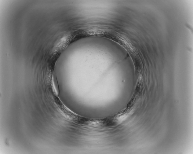 X0000094950411200712201142