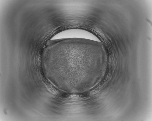 X0000094950413200712201142