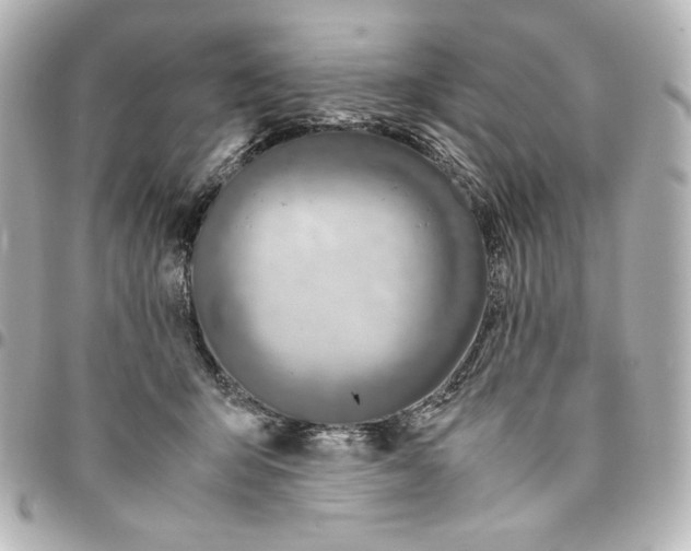 X0000094950415200712201142