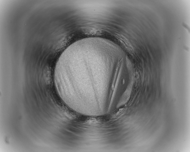 X0000094950416200712201142