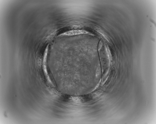 X0000094950417200712201142