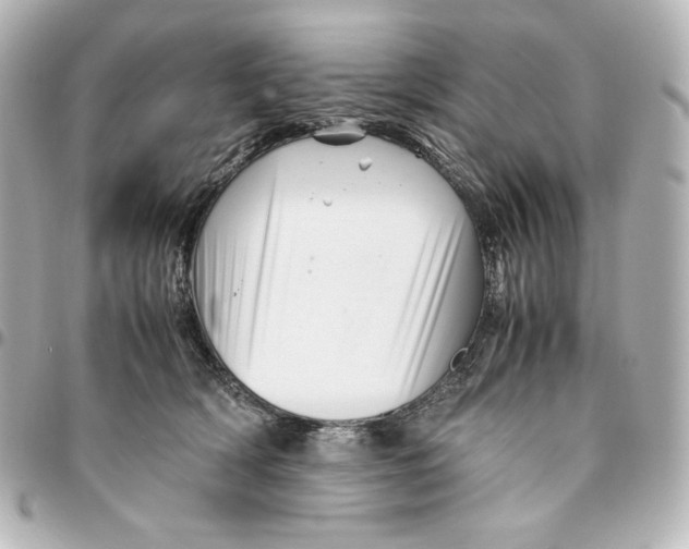 X0000094950418200712201142