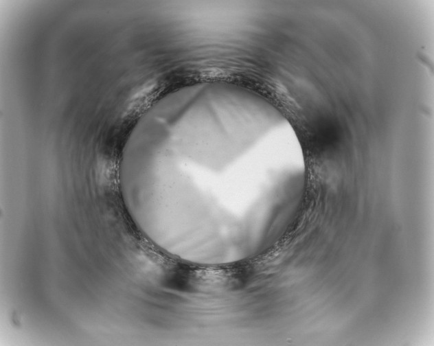 X0000094950419200712201142