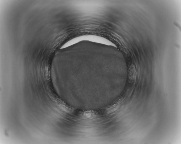 X0000094950420200712201142