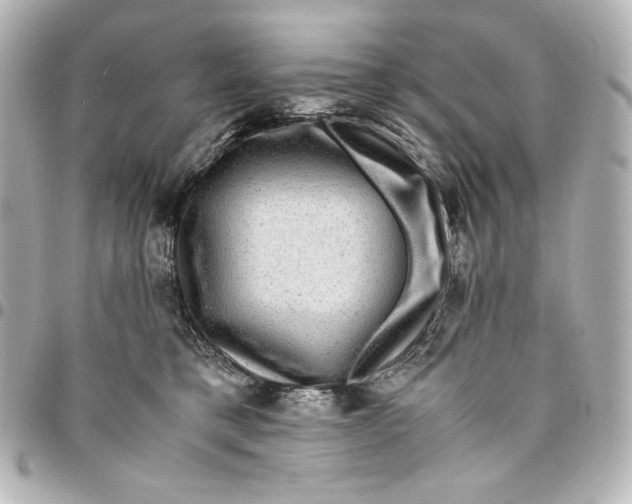 X0000094950421200712201142