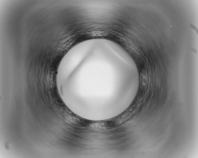 X0000094950422200712201142