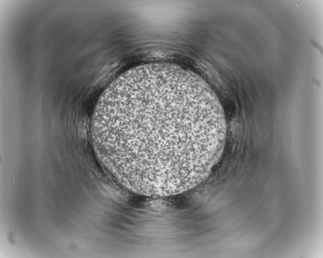 X0000094950423200712201142